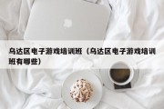 乌达区电子游戏培训班（乌达区电子游戏培训班有哪些）