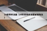 14世界杯法国（14年世界杯法国被谁淘汰）