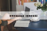 世界杯期间自杀（世界杯突发）