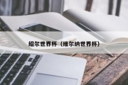 绍尔世界杯（维尔纳世界杯）