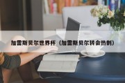 加雷斯贝尔世界杯（加雷斯贝尔转会热刺）
