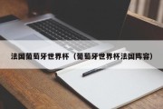 法国葡萄牙世界杯（葡萄牙世界杯法国阵容）