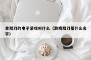 拿双刀的电子游戏叫什么（游戏双刀是什么名字）