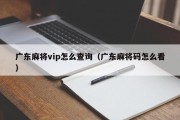 广东麻将vip怎么查询（广东麻将码怎么看）