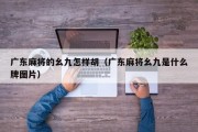 广东麻将的幺九怎样胡（广东麻将幺九是什么牌图片）