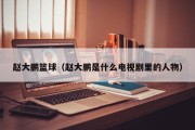 赵大鹏篮球（赵大鹏是什么电视剧里的人物）