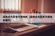自助式大型电子游戏机（自助式大型电子游戏机图片）