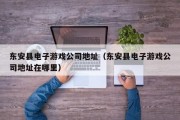 东安县电子游戏公司地址（东安县电子游戏公司地址在哪里）
