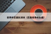 世界杯巴西队球衣（巴西世界杯队徽）