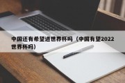 中国还有希望进世界杯吗（中国有望2022世界杯吗）