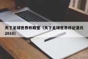 天下足球世界杯殿堂（天下足球世界杯纪录片2018）