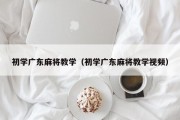 初学广东麻将教学（初学广东麻将教学视频）