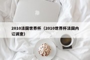 2010法国世界杯（2010世界杯法国内讧调查）