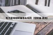 电子游戏招财猫怎么玩的（招财猫 游戏）