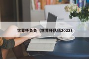 世界杯负负（世界杯队伍2022）