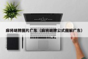 麻将胡牌图片广东（麻将胡牌公式图解广东）