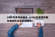 2002年世界杯国足（2002年世界杯国足哪些队员在欧洲踢球）