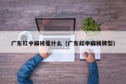 广东红中麻将是什么（广东红中麻将牌型）