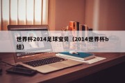 世界杯2014足球宝贝（2014世界杯b组）