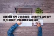 兴国哪里有电子游戏机卖（兴国学电脑培训学校,兴国夜校,兴国哪里有电脑培训）