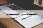 世界杯中国荷兰（2022世界杯荷兰）