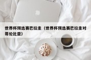 世界杯预选赛巴拉圭（世界杯预选赛巴拉圭对哥伦比亚）