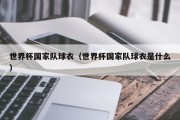 世界杯国家队球衣（世界杯国家队球衣是什么）