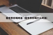 看世界杯喝啤酒（看世界杯喝什么啤酒）