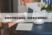 世界杯阿根廷国家队（世界杯足球阿根廷）