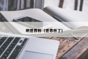 啊世界杯（世界杯了）